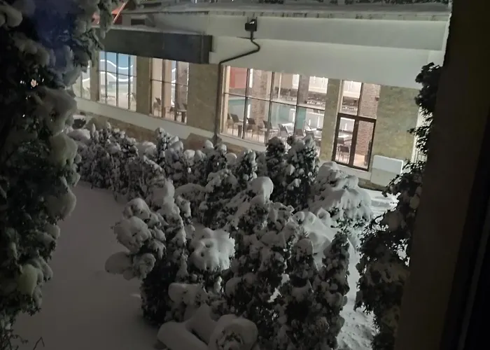 Апартаменты Jevtic Златибор