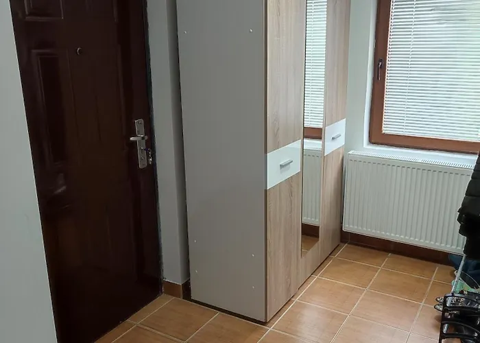 Jevtic Apartment Zlatibor